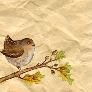 Paper bird drawing
