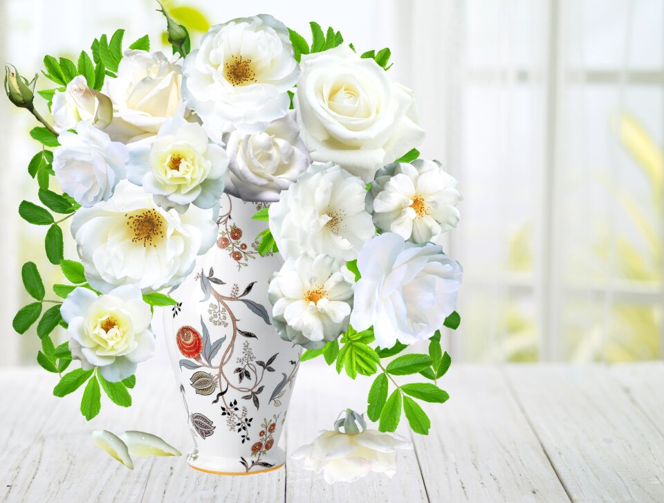 Nature petals white flower