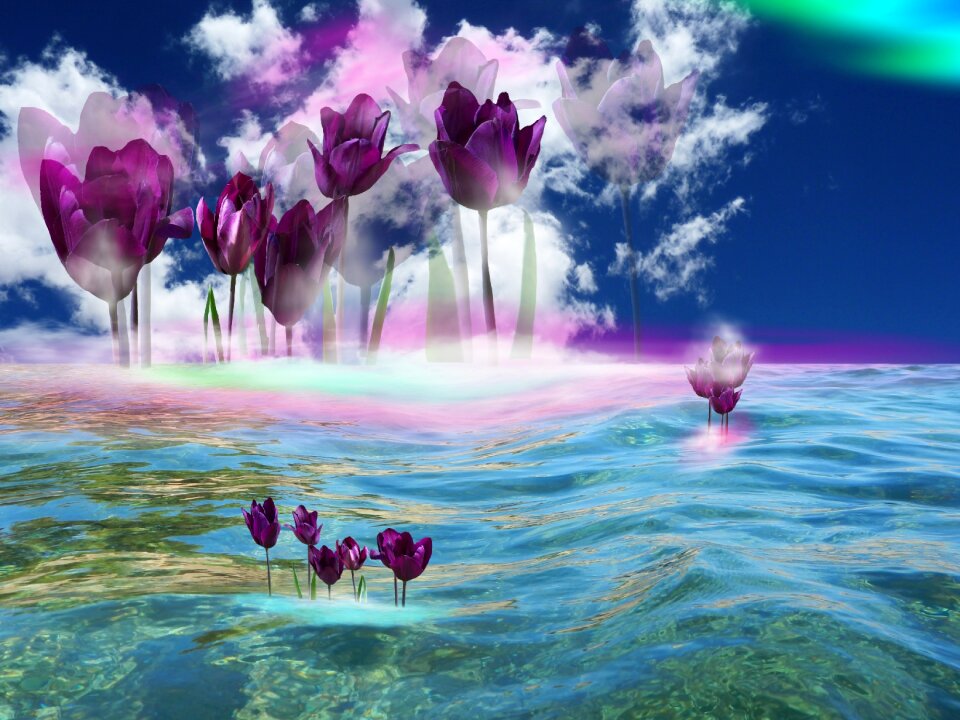 Water spring nature