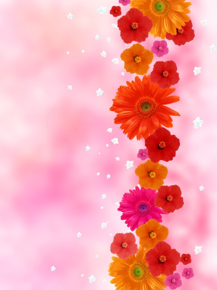 Red romance background