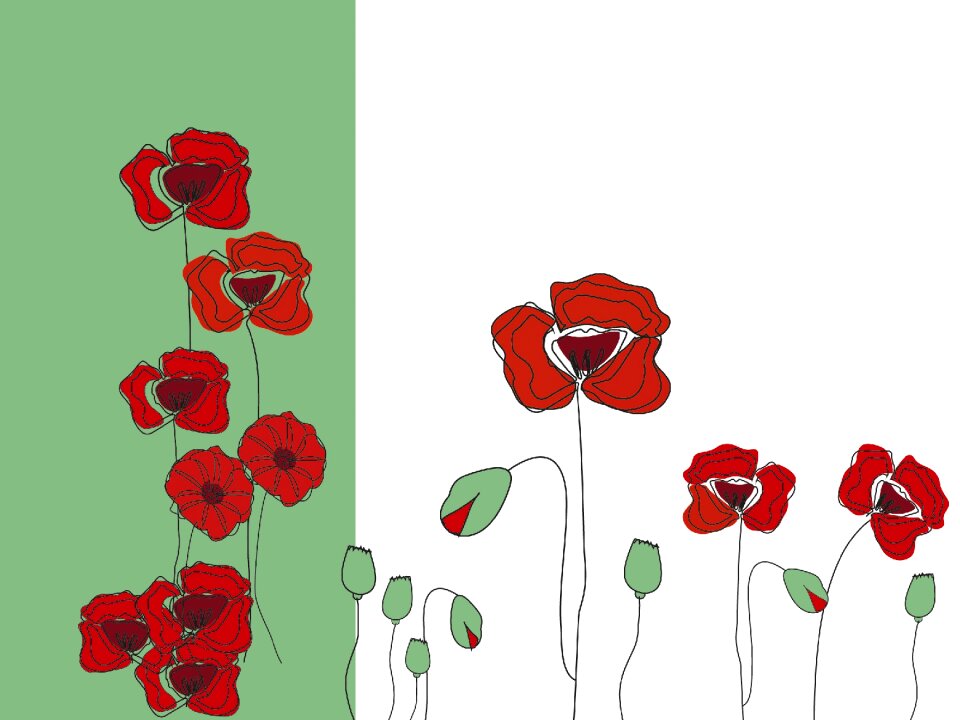 Red green red poppy