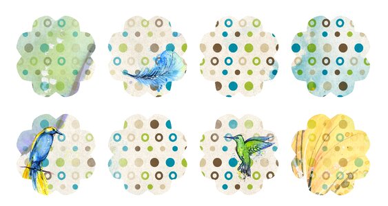 Collage modern bird