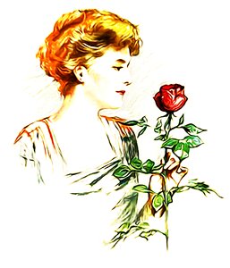 Vintage flowers red roses flower