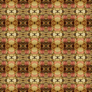 Symmetry coins money