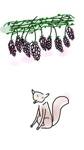 Sour fruit garden