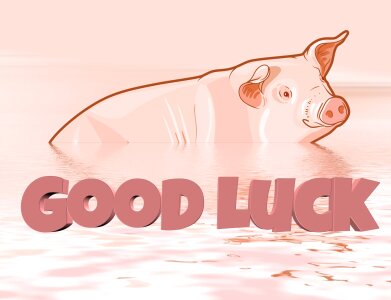 Map pig greeting card