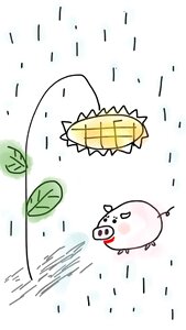 Sunflower rain raining