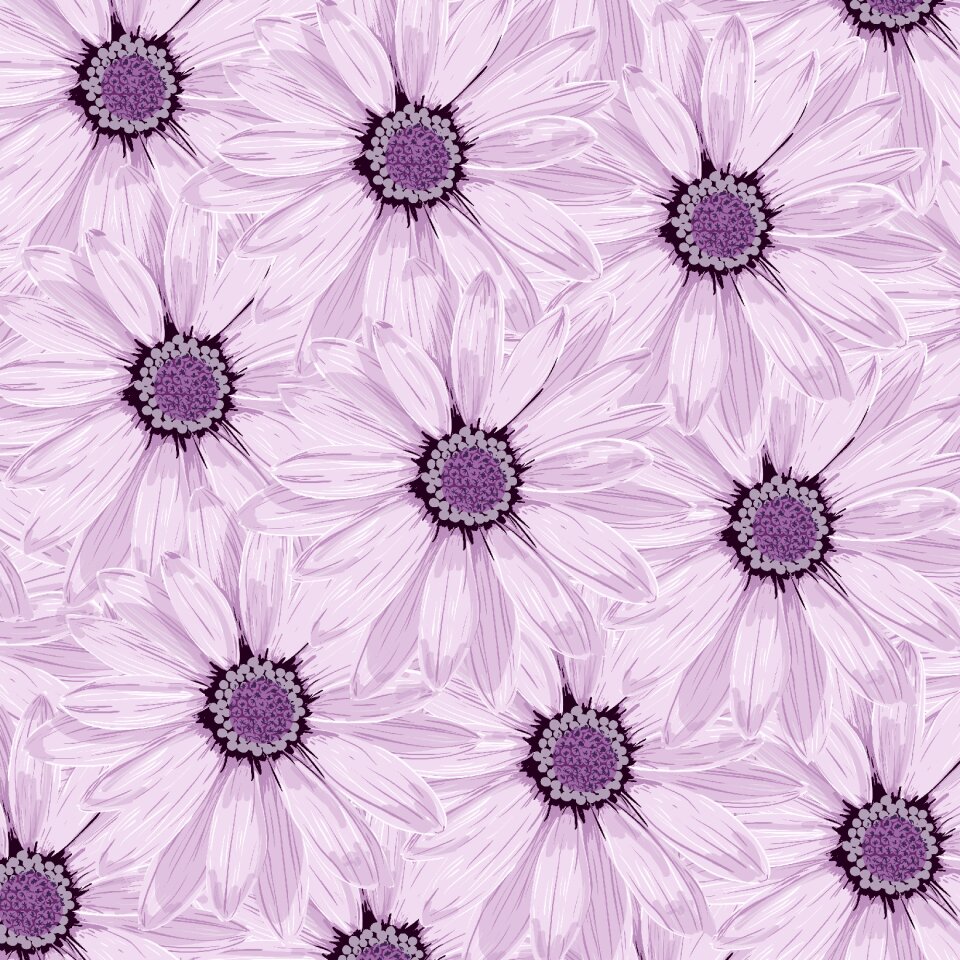 Lilac purple flowers many colors