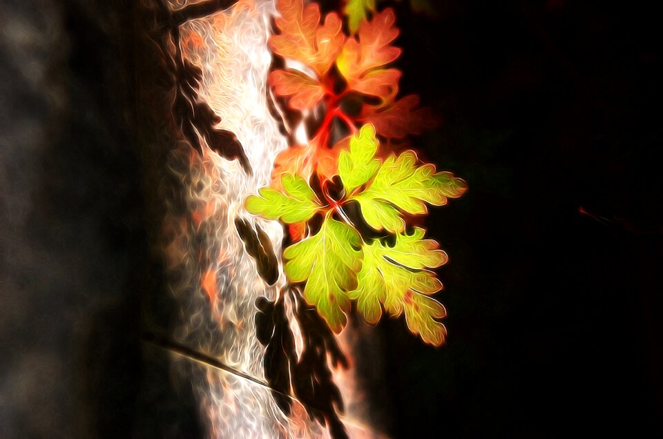 Red sunshine day