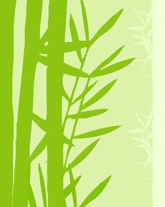 Background wallpaper paper