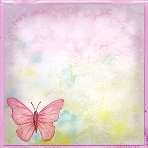 Flower pink pretty
