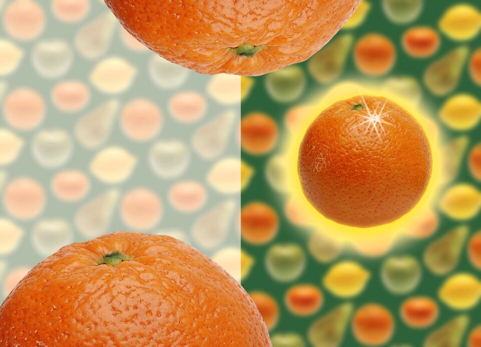 Fruit orange Free illustrations
