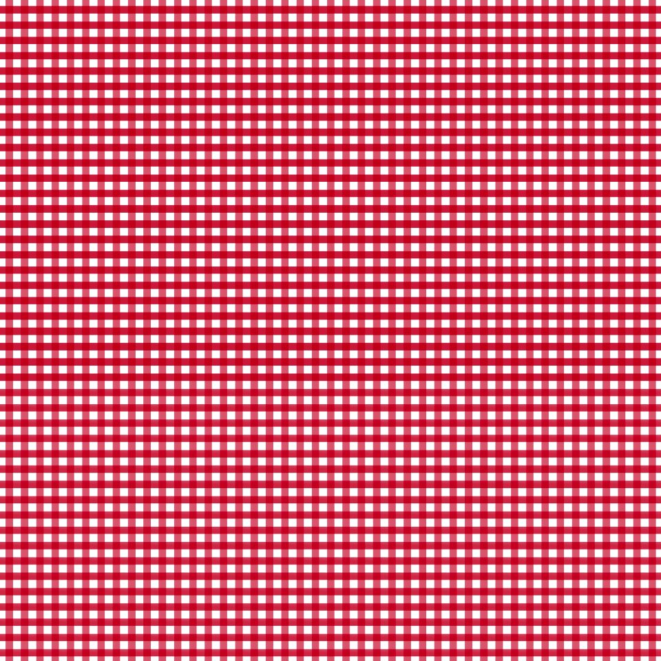Plaid fabric pattern squares