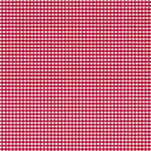 Plaid fabric pattern squares