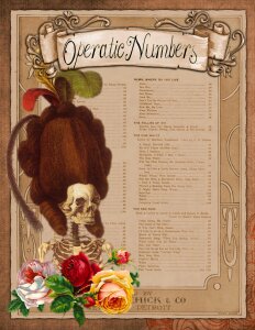 Skull opera weird