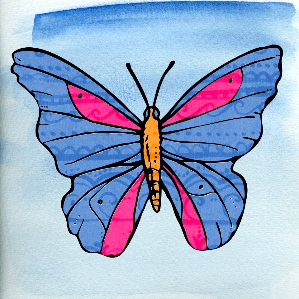 Flower blue pink