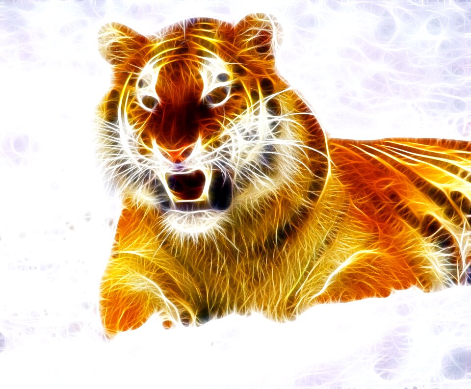 Wild animals wildlife nature