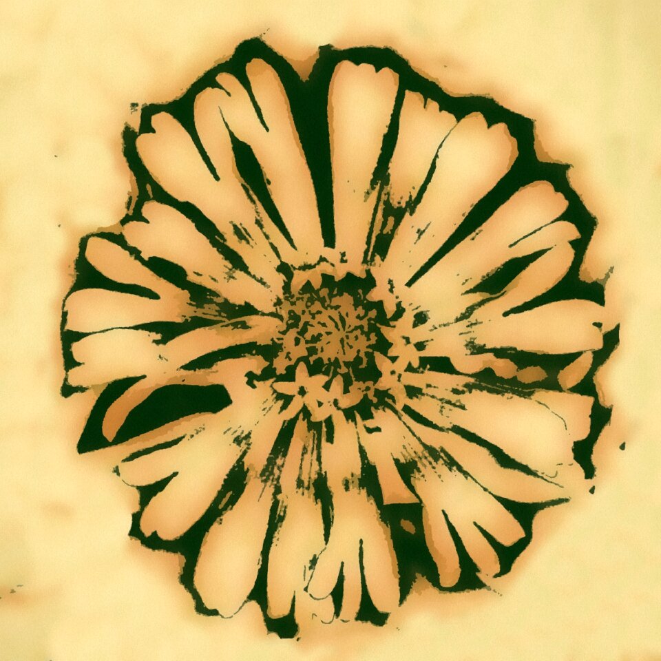 Creative decoration blossom