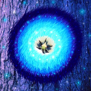 Flower healing Free illustrations