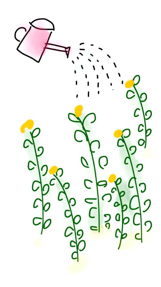 Water outside plant