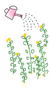 Water outside plant