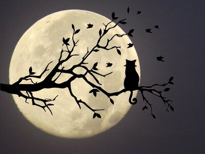 Moon silhouette Free illustrations