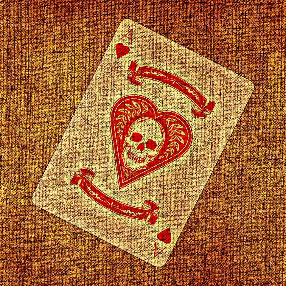 Tissue structure card game