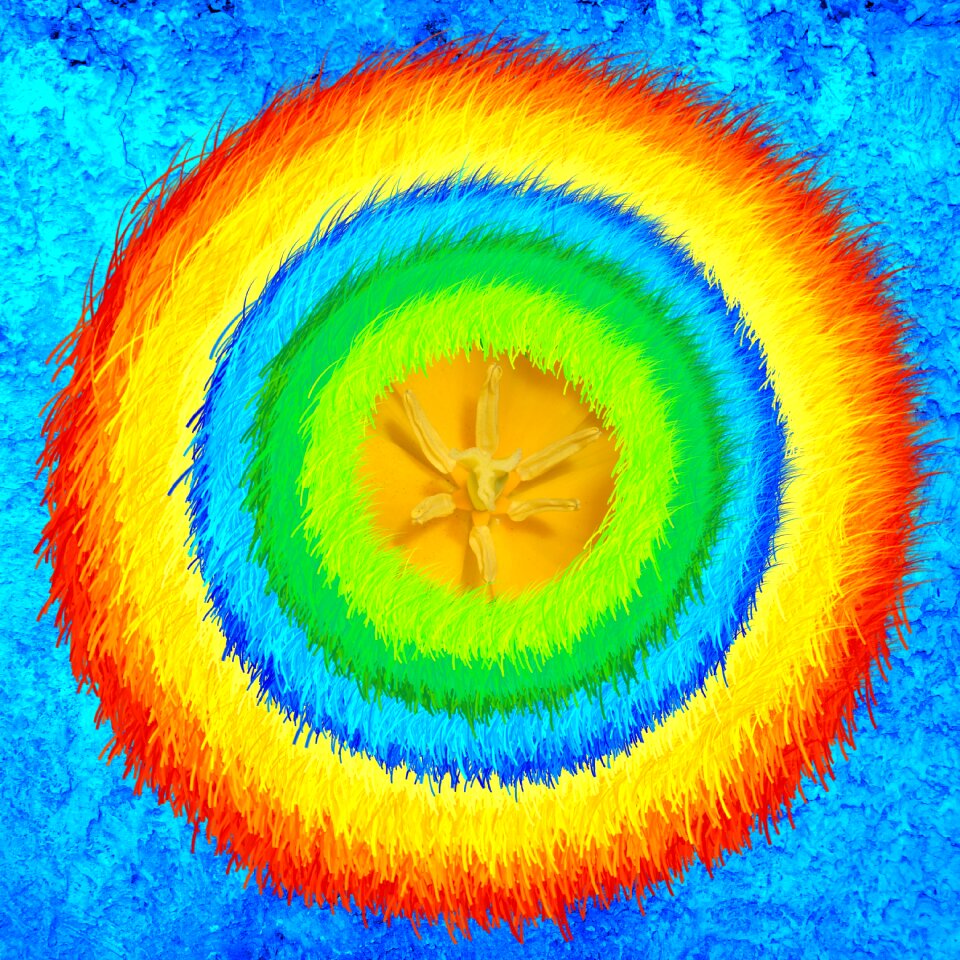 Flower healing Free illustrations