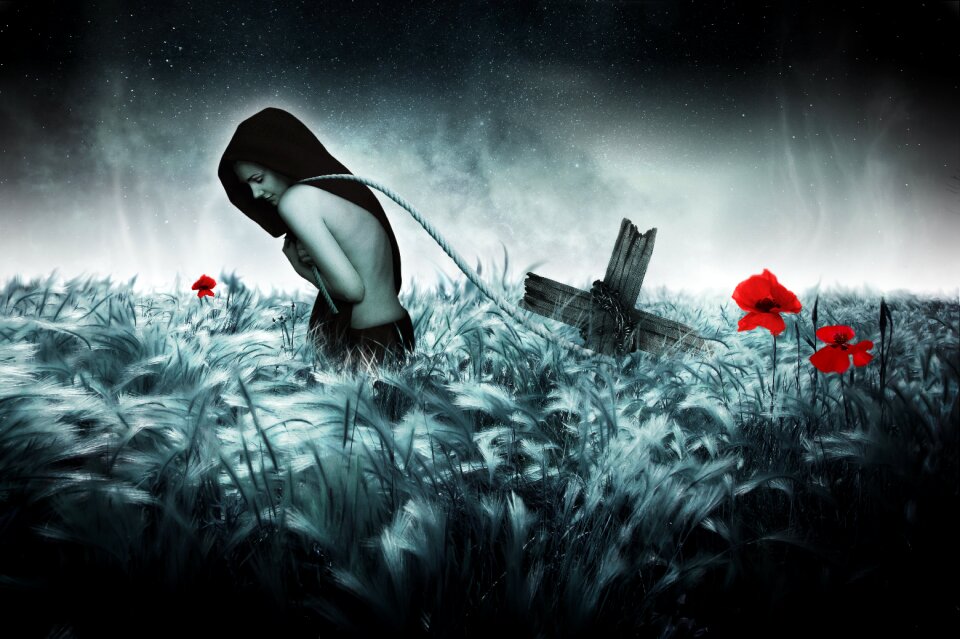 Dark lonely cornfield
