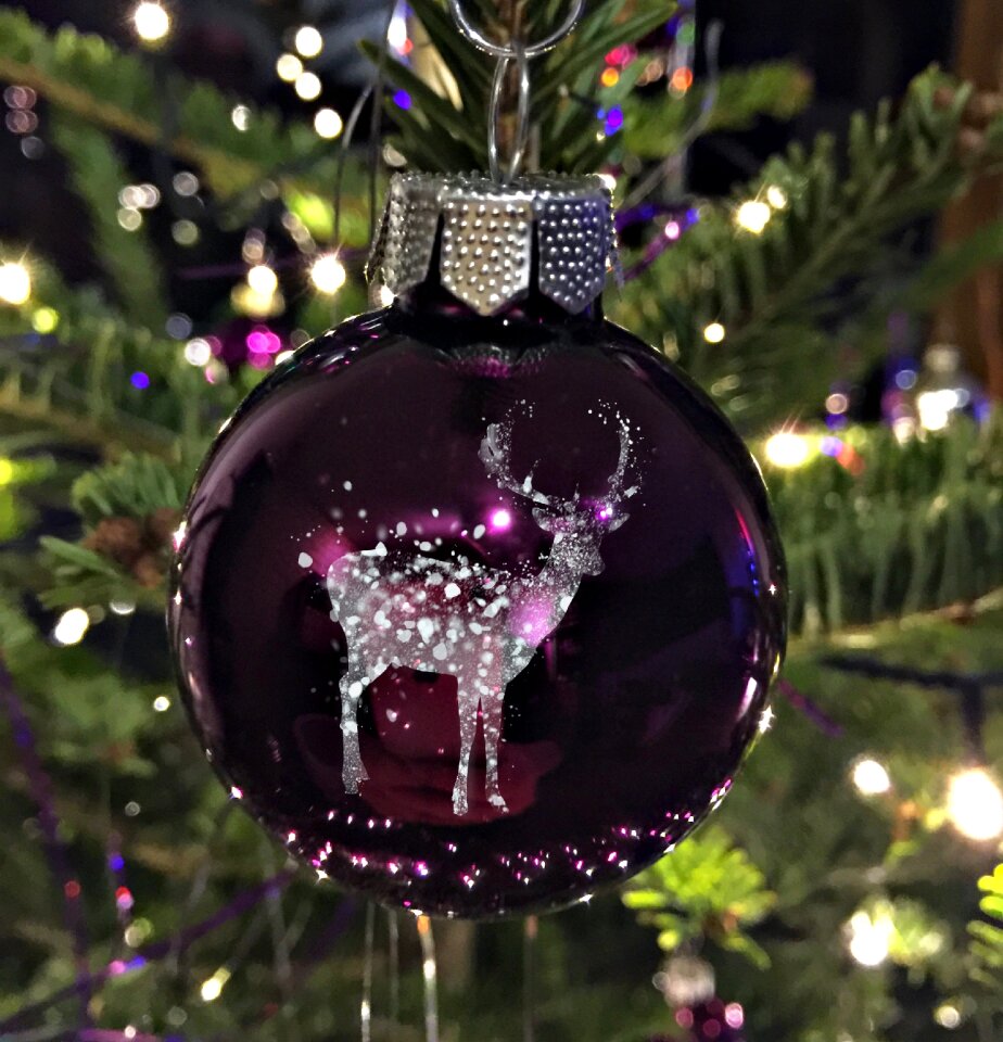 Christmas greeting christmas decoration contemplative
