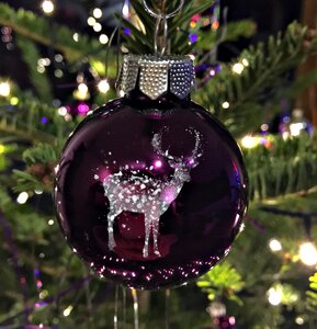 Christmas greeting christmas decoration contemplative