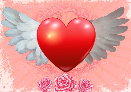 Feather valentine's day background