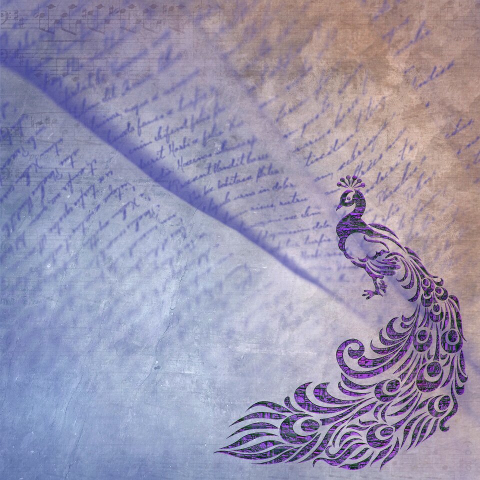 Bird background paper