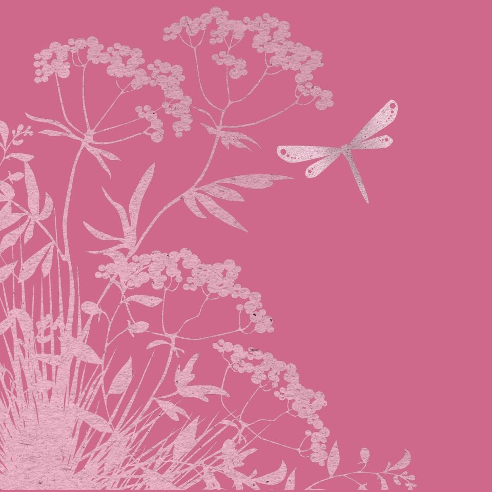 Pink leave dragonfly