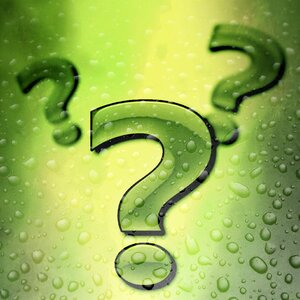 Frequently asked questions response leadership