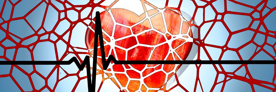 Disease heartbeat blood pressure