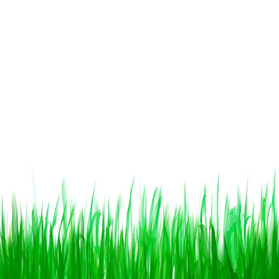 Nature outdoors copyspace