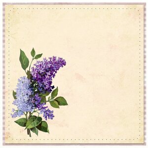 Hydrangea vintage old