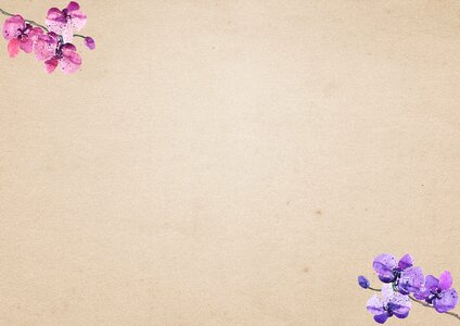 Blank paper empty create