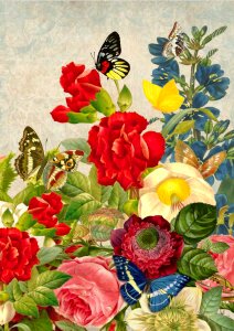 Art rose butterflies