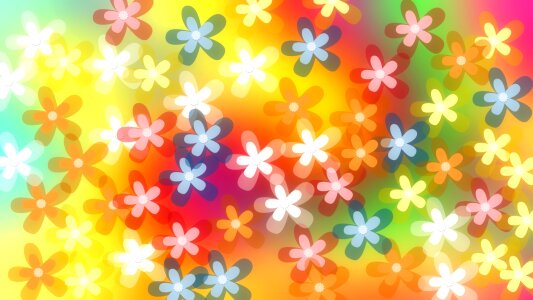 Blossom bloom colorful