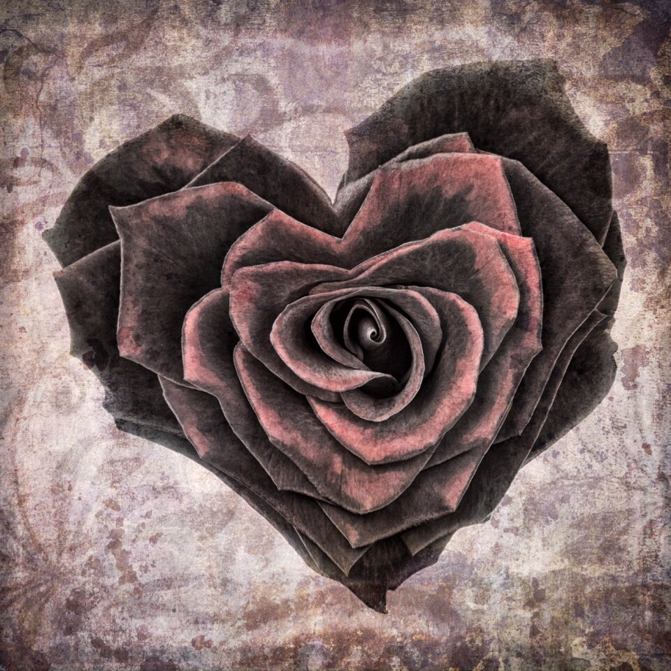 Vintage grunge rose
