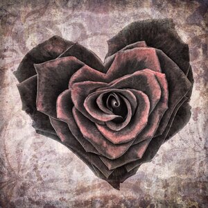 Vintage grunge rose