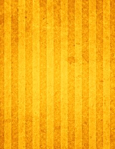 Stripes gold stripes gold