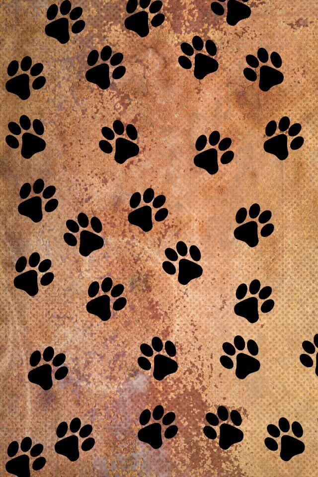 Scrapbooking paw prints paw