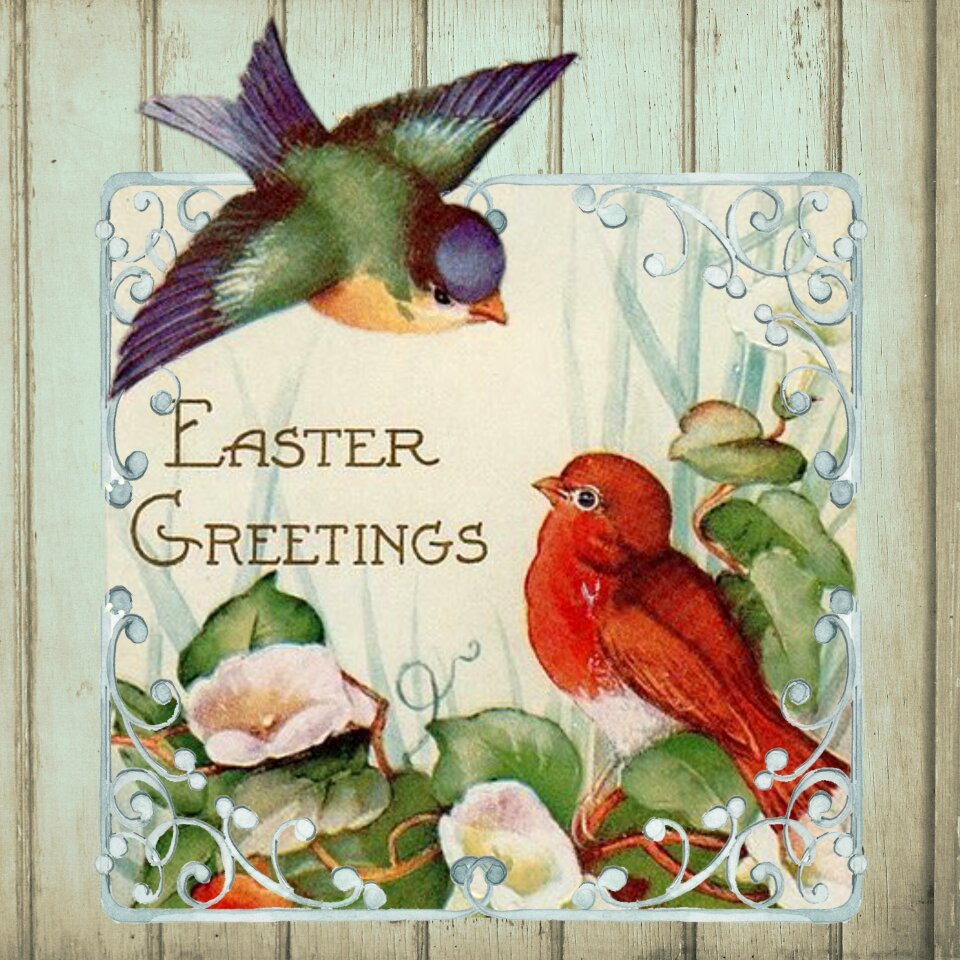 Birds lily card