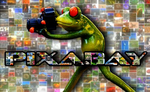 Frog figure photographer
