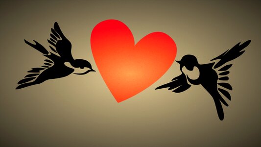 Freedom together greeting card