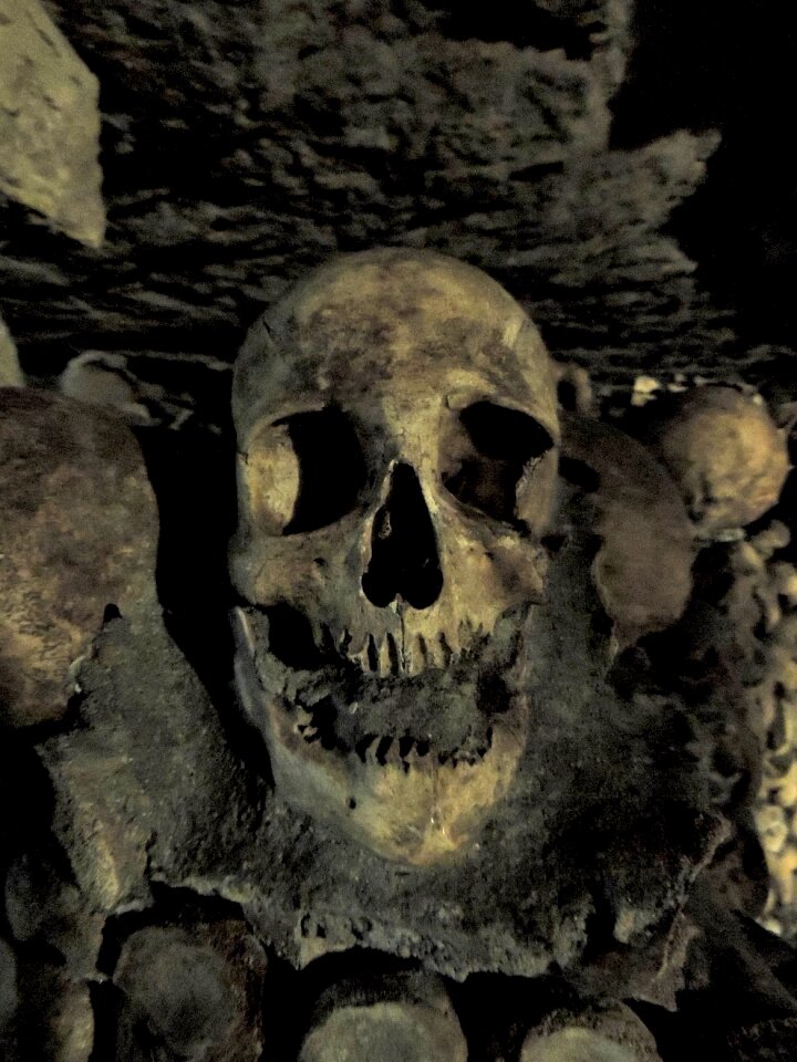 Death bone skeleton
