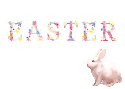 Rabbit holiday colorful